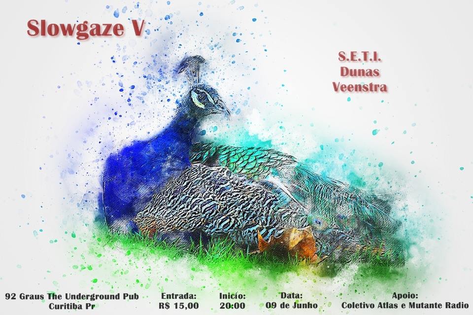 slowgaze