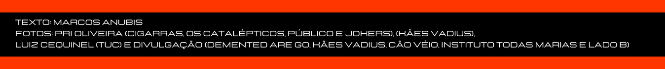 vídeos (5)